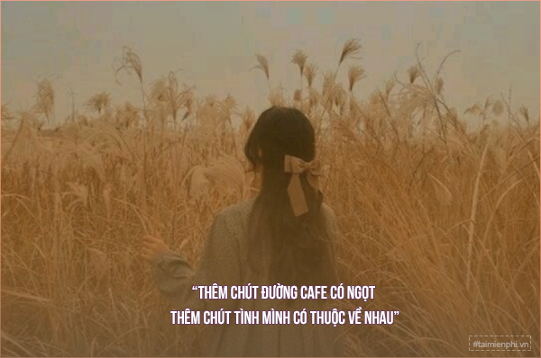 Cap hay về cuộc sống