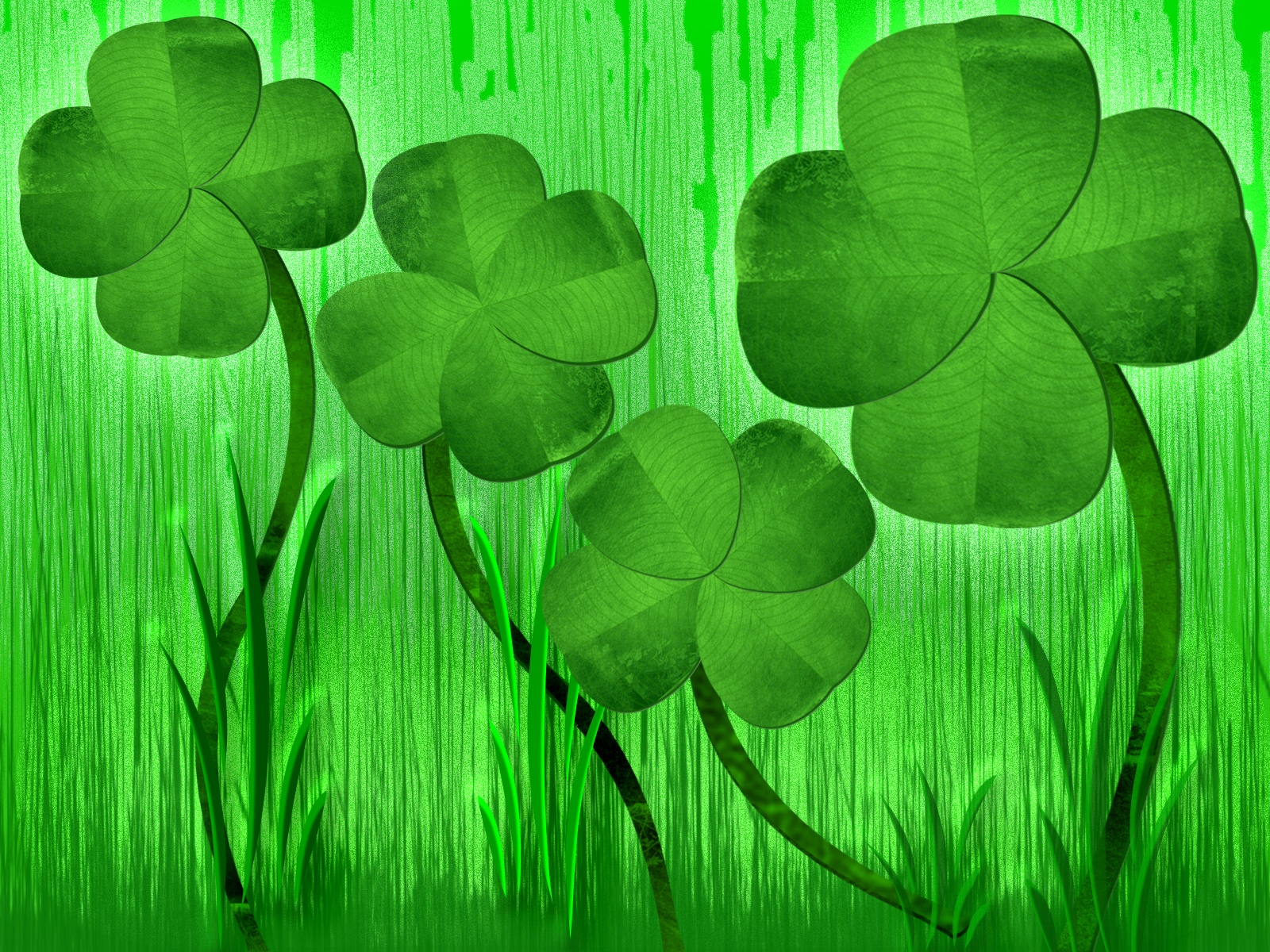 Cỏ 4 lá may mắn đẹp