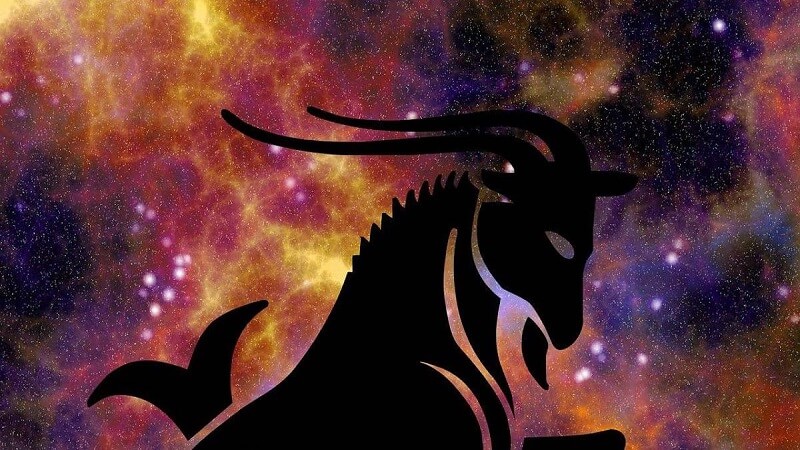 Hình ảnh cung Ma Kết