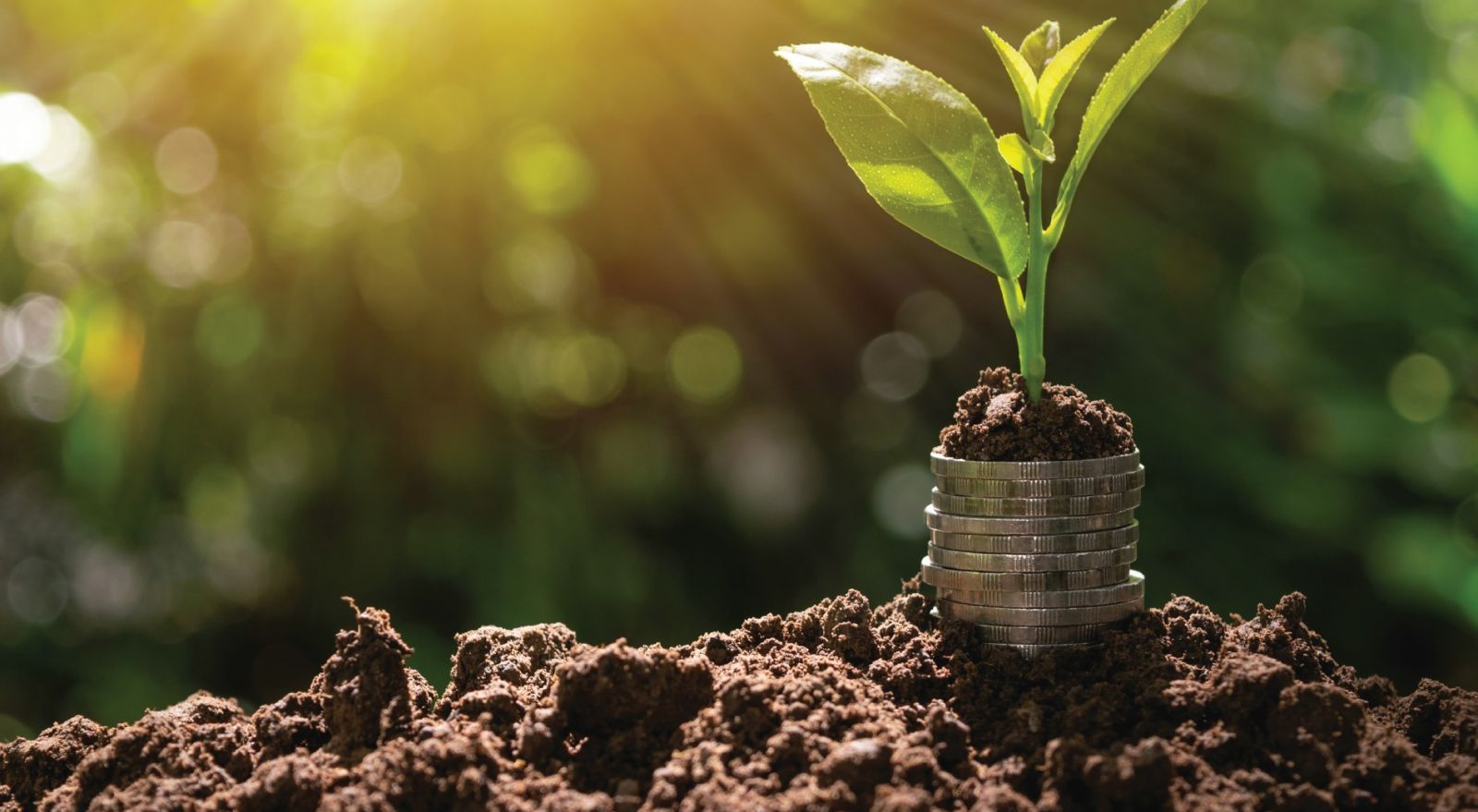 Hình nền may mắn mệnh Thổ