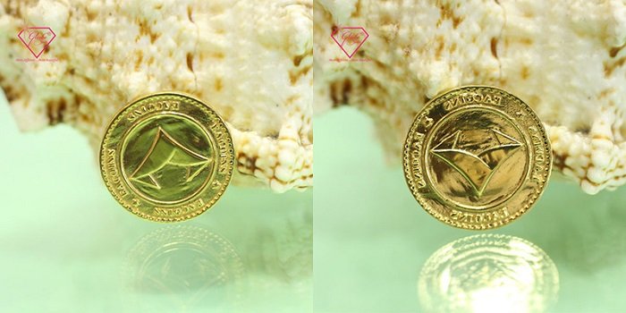 Huy hiệu cài áo món quà cao cấp, đặc biệt