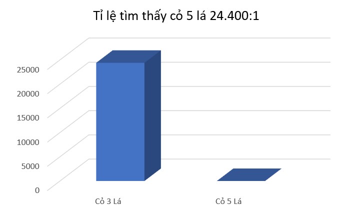 Tỉ lệ tìm thấy cỏ 5 lá