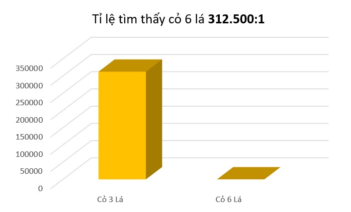 Tỉ lệ tìm thấy cỏ 6 lá