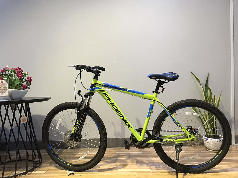 Xe đạp - Món quà 8/3 giá trị và độc đáo